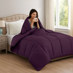 Soft Plum Quilted Comforter with Corner Tabs
