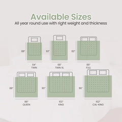 Soft Saga Green Quilted Comforter with Corner Tabs