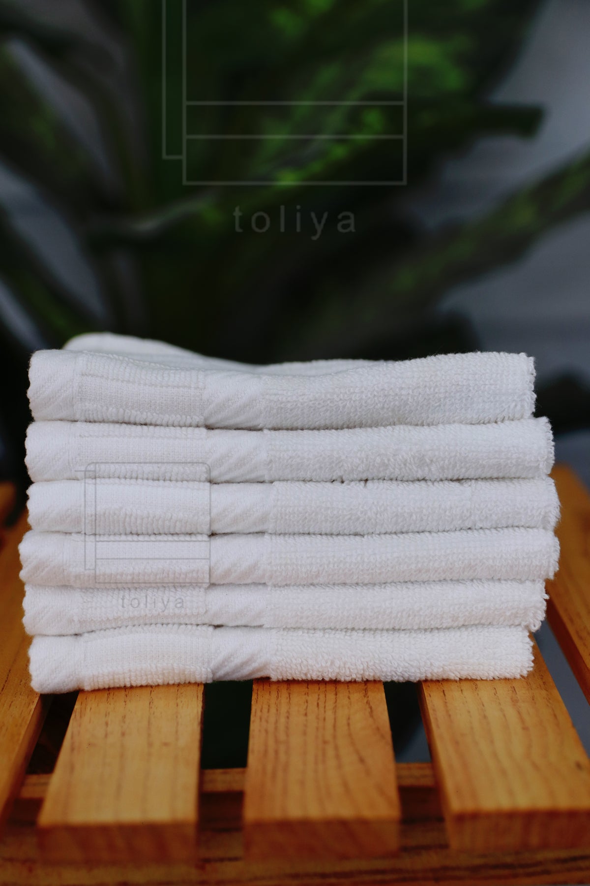 Wash Towel (Pack of 6)