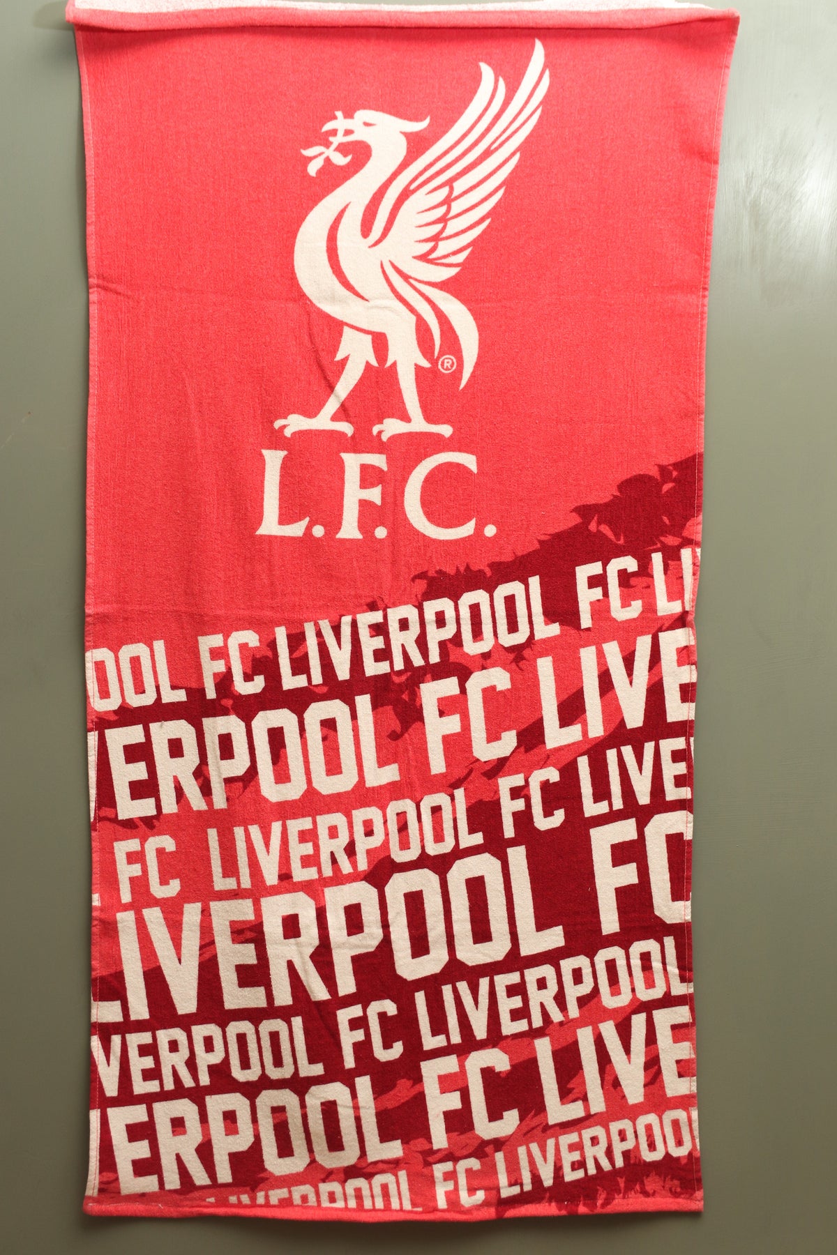 Printed Towel